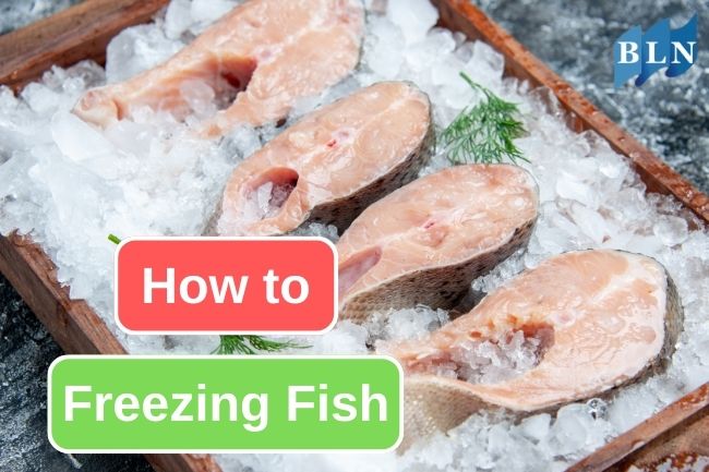 This Is How to Freezing Fish Properly